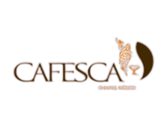 LOGOSS-PHOTOROOM.PNG-PHOTOROOM - COPIA (14) - COPIA